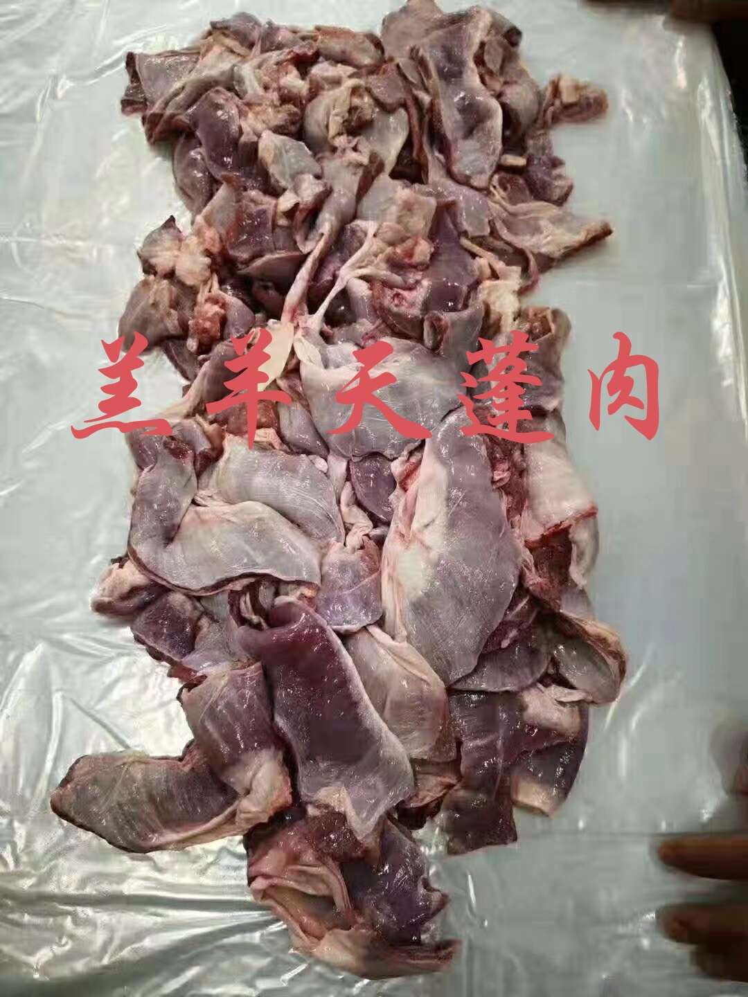 【羊天蓬肉】当地草原羊护心肉!一袋五十斤五块,屠宰场直销质保