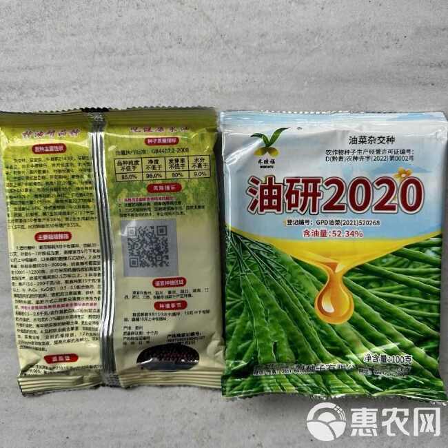 油研2020高产杂交油菜种子出油率高杂交油菜种农科院高产油菜