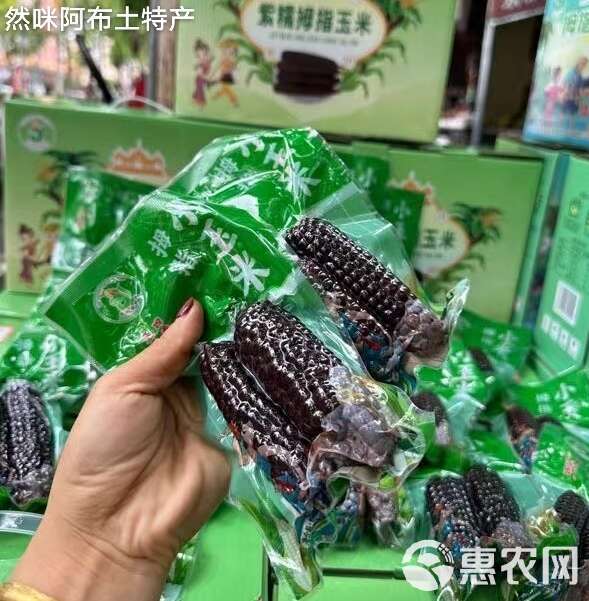 版纳拇指紫糯玉米