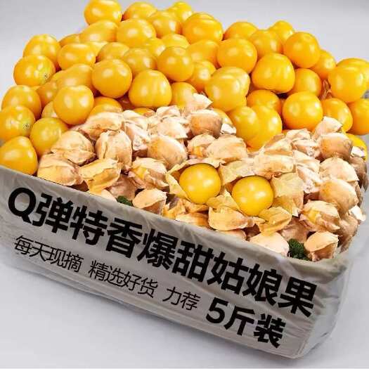 海伦市【甜不腻】东北姑娘果黄金菇娘果灯笼果黄洋姑娘超香甜东北特产