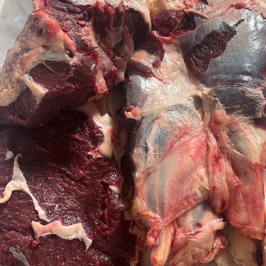 国产四分体全部位牛肉