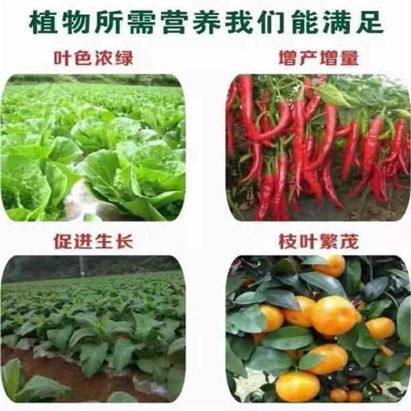 磷酸一铵全水溶农业级高含量磷肥促进植物生长复合肥磷酸一铵