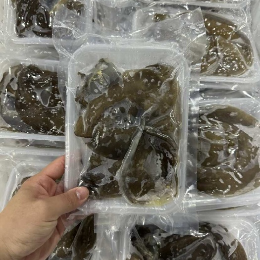精品好货/高品质甲鱼裙边/工厂直销 一手货源