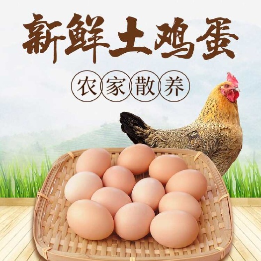 介休市鸡蛋