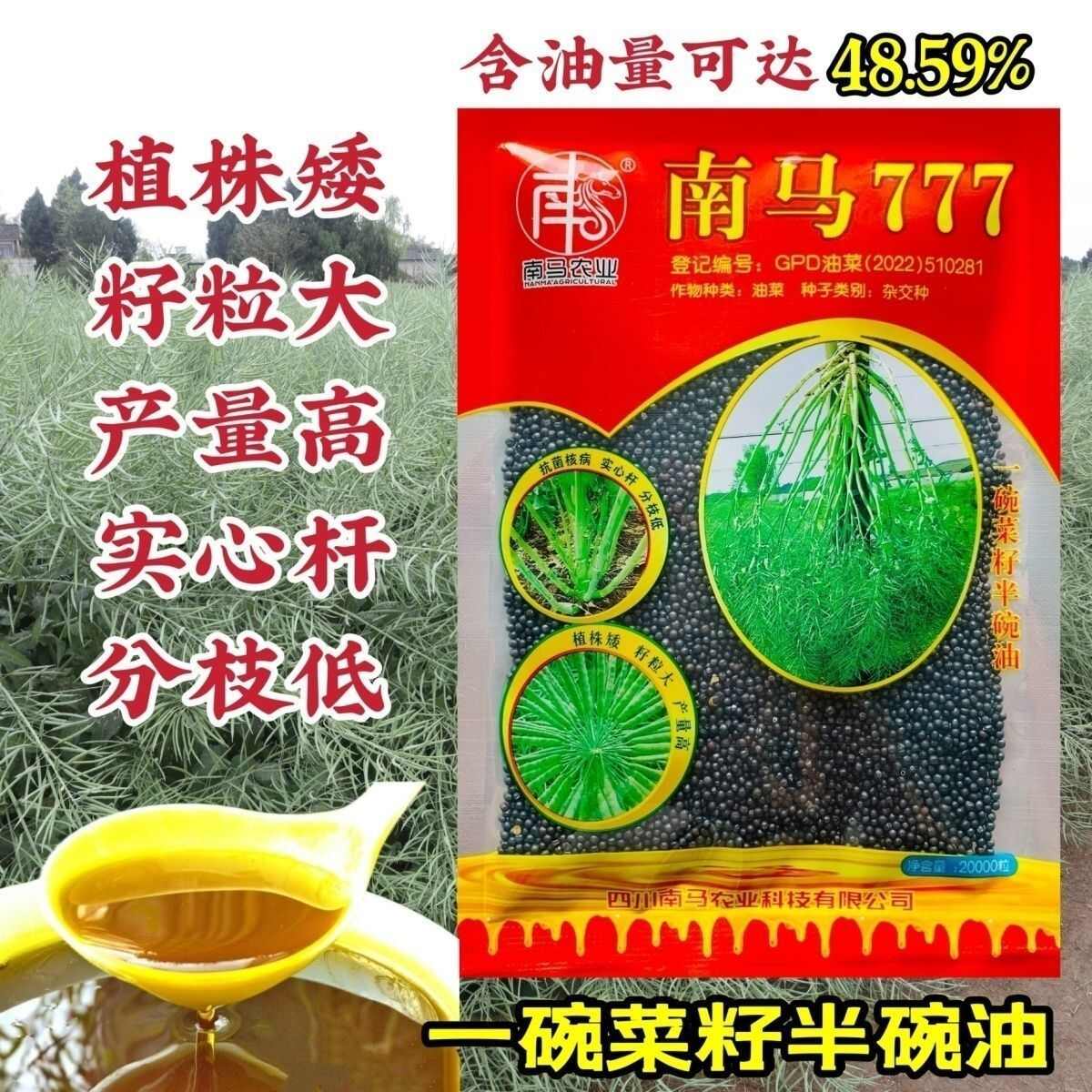 南马777油菜种子食用油类甘蓝型半冬性秋播油菜种籽矮杆耐寒高