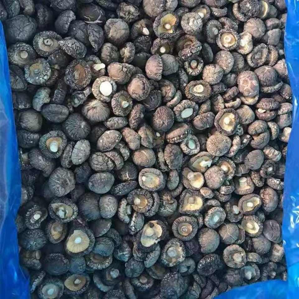 精选香菇精品肉厚烤菇新货有香味产地批发包邮