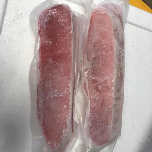 沈阳金枪鱼小蓝鳍