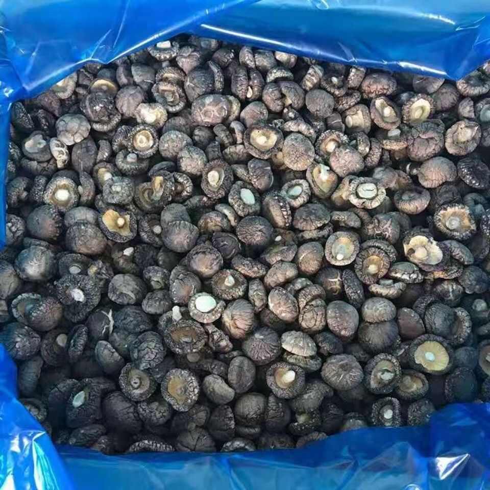 精选香菇精品肉厚烤菇新货有香味产地批发包邮