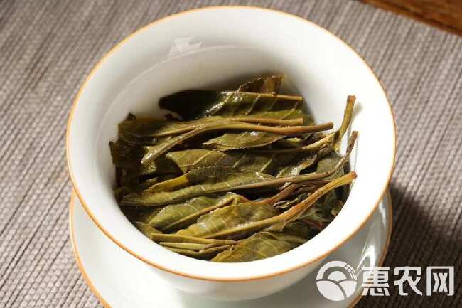 普洱茶 生茶散茶蜜香特 云南勐海古树普洱茶