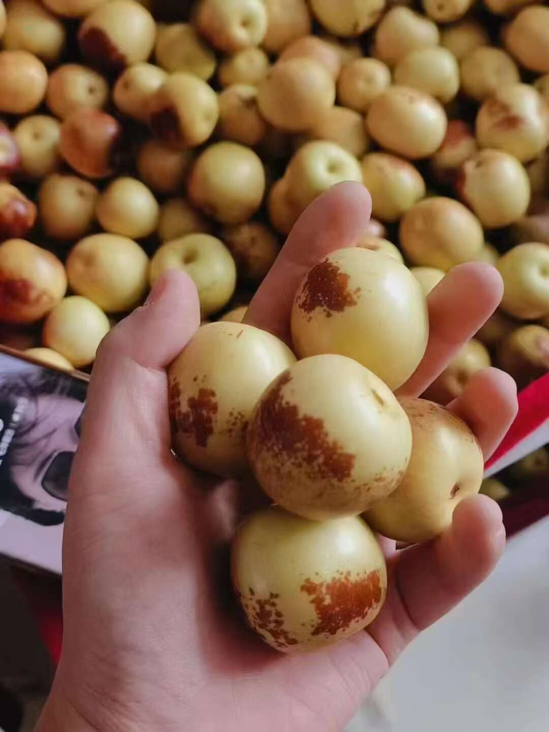 个大味好大荔欢迎你