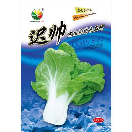 迟帅-杂交迟熟小白菜特色品种味甜耐寒抗病量大