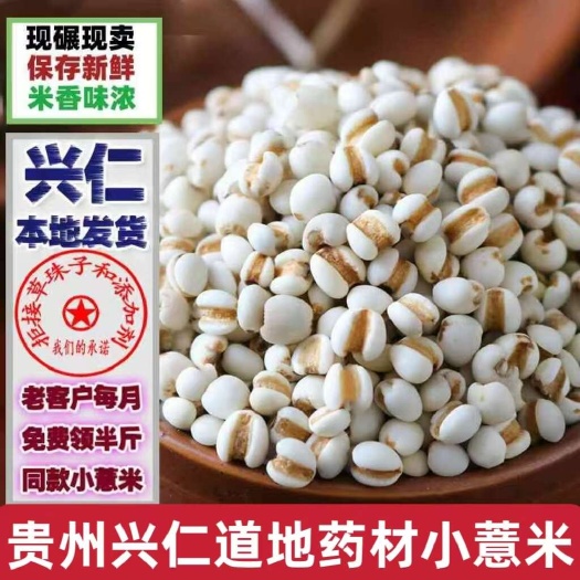 兴仁市【贵州兴仁发货】小薏米小薏仁米道地药材生薏米仁不发霉薏米包邮