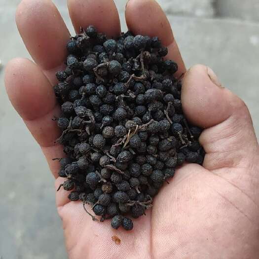 乐平市山胡椒干品