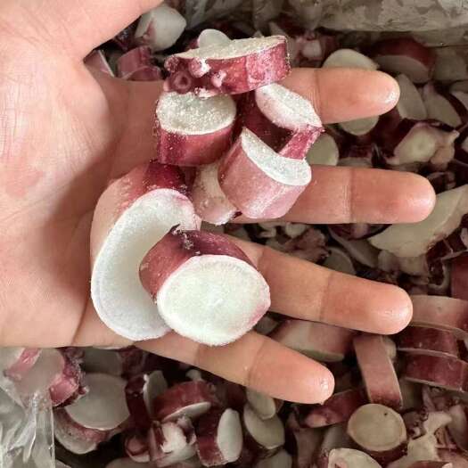 连云港单冻鱿鱼八爪足切片，切粒