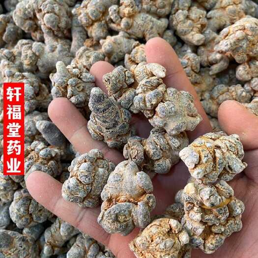 【三七】产地文山三七根直销实物拍摄规格齐全免费大粉保质保量