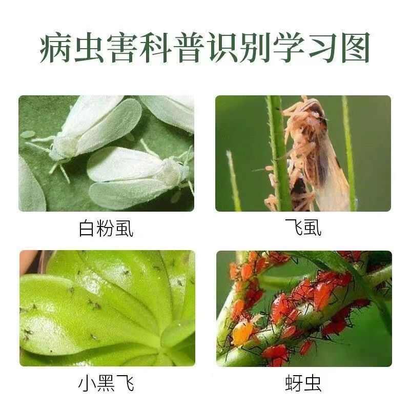 啶虫脒农药杀虫剂蚜虫果树柑橘蔬菜打虫药农用正品包邮