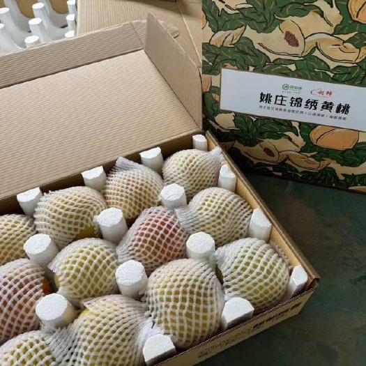 嘉善县锦绣黄桃