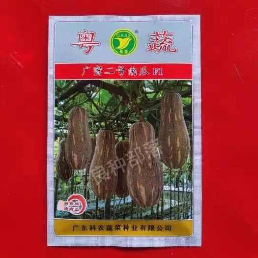 广州广蜜二号南瓜种早熟高产农科院密本南瓜种籽香甜南瓜种子蔬菜种孑