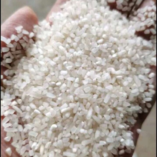 成都碎米（浙江产地）