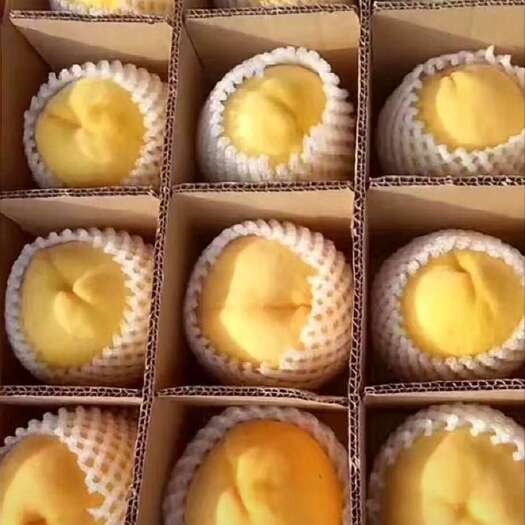 临海市黄桃