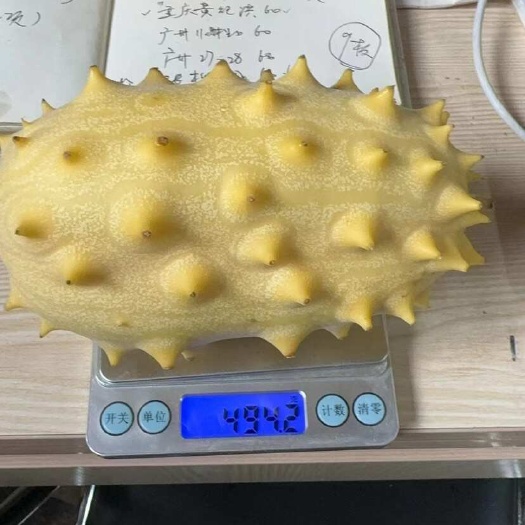 火参果新品上市 火参果新峰系列、市面上独一份火参果新品种！！