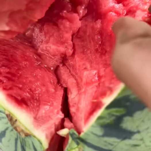 麒麟美都无籽西瓜