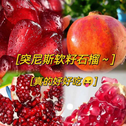 会理市四川大凉山会理突尼斯软籽石榴