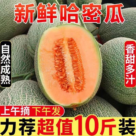 三亚新鲜晓密网纹哈密瓜蜜新鲜当季现摘整箱水果（包邮）