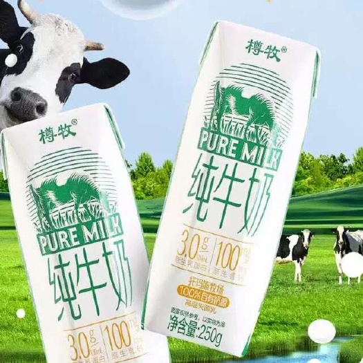 山东自有工厂新日期现货250g*10盒全脂纯牛奶整箱学生早餐
