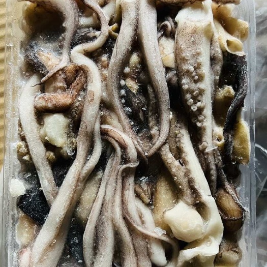 石狮市二本足