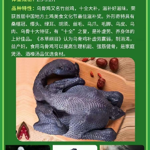 广州乌鸡，乌骨鸡，竹丝鸡，白羽乌鸡