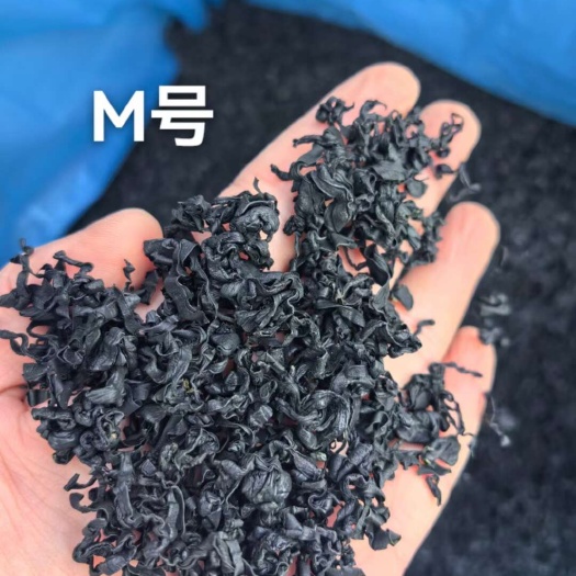 裙带菜  ！火锅凉拌烧汤炒菜！一斤泡发10几斤！