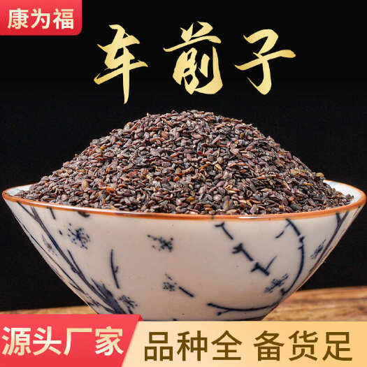 车前子新货 车前子 各种籽类药 中药材批发零售 大货批发中