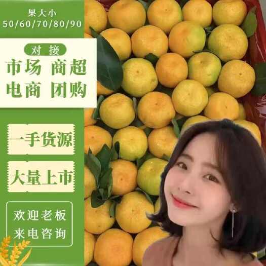 华宁县云南高山蜜橘，现採现发，口感纯甜，入口即化