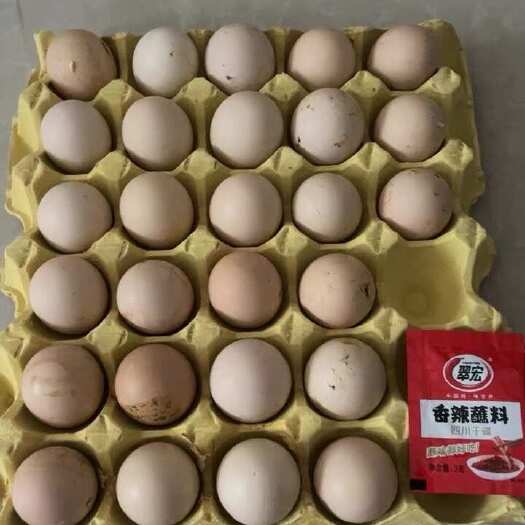 海阳市新鲜毛鸡蛋15-18天旺蛋大量批发一件代发