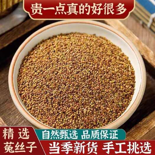 【菟丝子】中药材菟丝子无硫菟丝子道地药材菟丝子颗粒饱满包邮