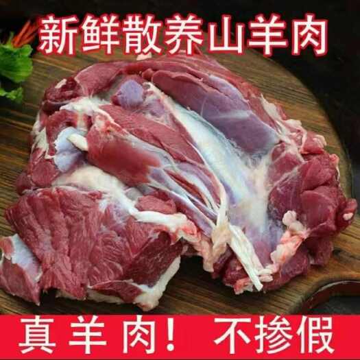 临沭县新鲜羊肉去骨羊肉现杀去骨羊肉煲汤食材