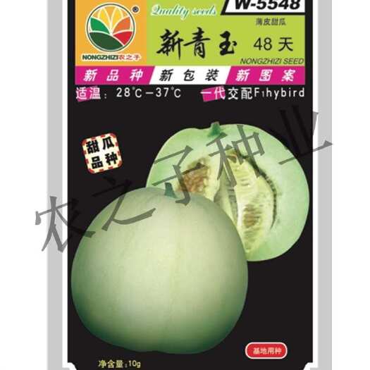 株洲新青玉48天56天一代杂交浓香薄皮甜瓜量大抗病丰产香瓜春夏农
