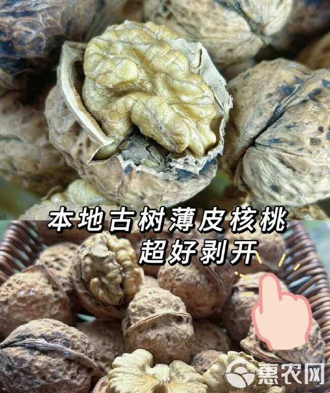 云南核桃薄皮新货2024漾濞薄皮生干核桃批发采购