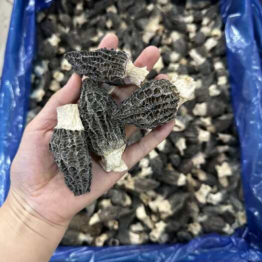 广州云南羊肚菌中大号圆润饱满肥嘟嘟塞肉专用