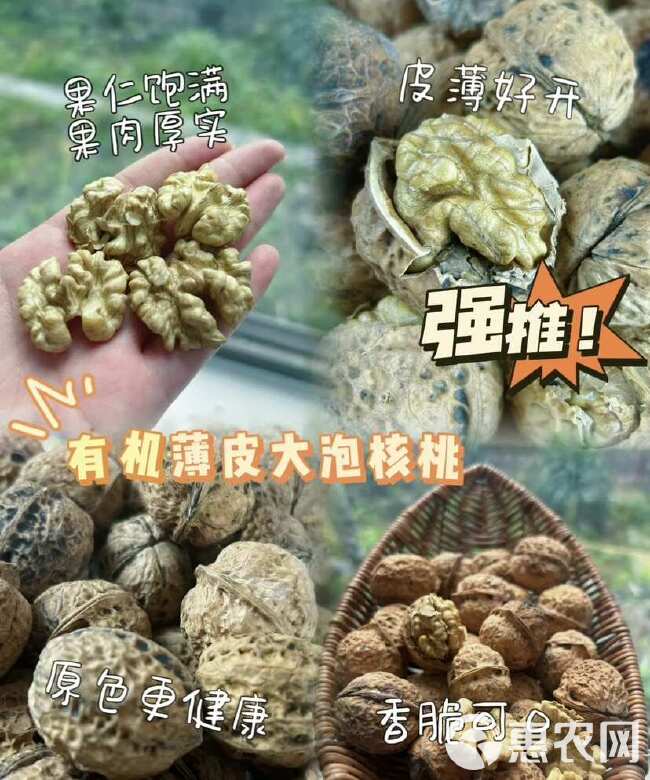 云南核桃薄皮新货2024漾濞薄皮生干核桃批发采购