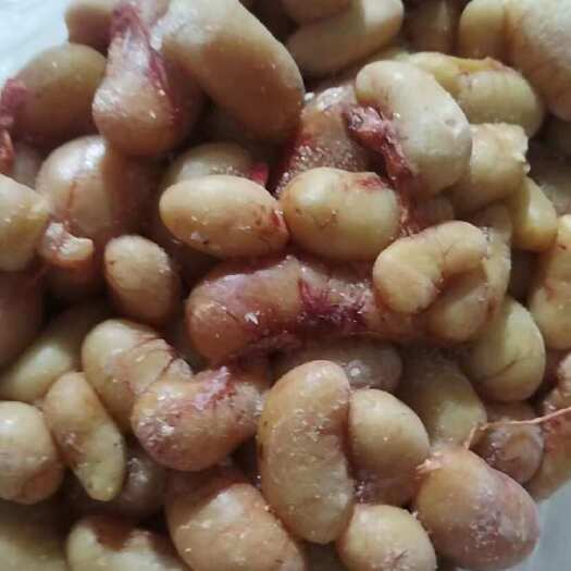  鸡腰子