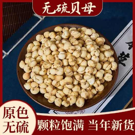 【无硫川贝母】四川种植无硫贝母可待客打粉多规格可选包邮