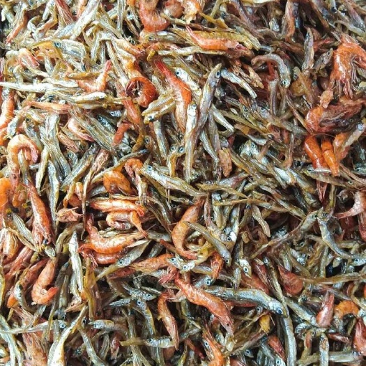 精品小鱼小虾 小鱼不苦 油拌虾 吉林淡水小公干鱼 河虾