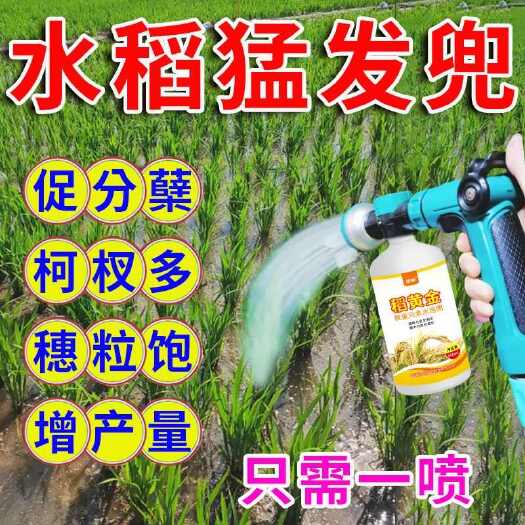 栾川县水稻分蘖促进剂猛发兜返青柯杈分蘖肥生根壮苗快速增长专用水溶肥