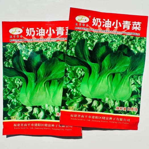 宿迁晓富黑叶苏州青菜种子 奶油小青菜种子 大叶黑大头青梗菜种子