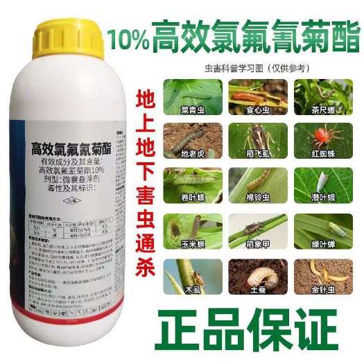 陆丰市高效氯氟氰菊酯杀虫剂小麦玉米果树蔬菜蚜虫菜青虫地下害虫百虫杀