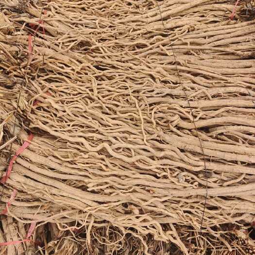 岷县关防风干个子，甘肃本地中药材，质量有保障，产地直发，诚信第一