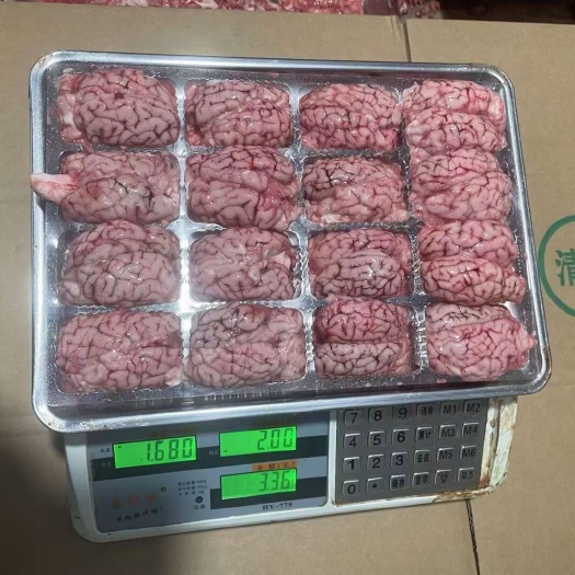 大厂县羊脑