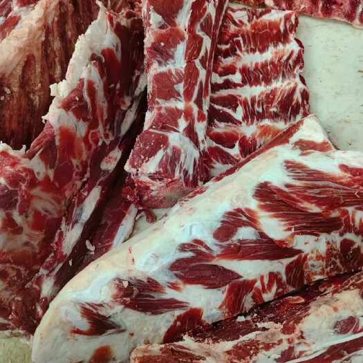 阳信县国产多肉牛脊骨